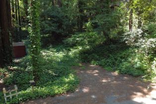 Residential Lot,  Old Monte Rio road, Russian River, CA 95446 - 9