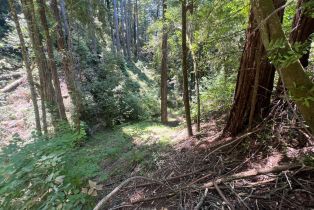 Residential Lot,  Drake Road none, Russian River, CA 95446 - 9