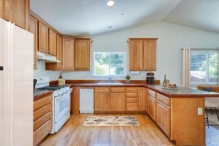 Single Family Residence,  Rio Nido road, Russian River, CA 95446 - 9