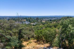 Residential Lot,  Viewpointe circle, Santa Rosa, CA 95403 - 9