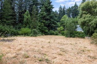 Residential Lot,  Drake road, Russian River, CA 95446 - 9