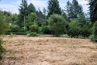 Residential Lot,  Drake road, Russian River, CA 95446 - 10