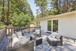 Single Family Residence,  Lake County highway, Calistoga, CA 94515 - 26