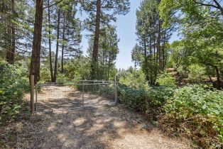 Single Family Residence,  Lake County highway, Calistoga, CA 94515 - 55