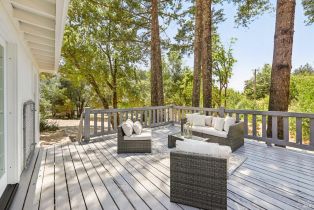 Single Family Residence,  Lake County highway, Calistoga, CA 94515 - 28