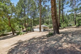 Single Family Residence,  Lake County highway, Calistoga, CA 94515 - 44