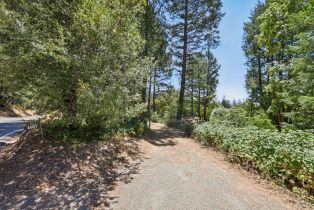 Single Family Residence,  Lake County highway, Calistoga, CA 94515 - 54