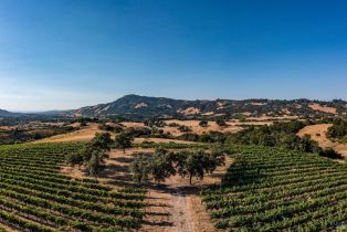 Agriculture,  Sonoma Mountain road, Santa Rosa, CA 95404 - 21