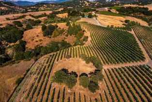 Agriculture,  Sonoma Mountain road, Santa Rosa, CA 95404 - 17