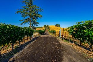 Agriculture,  Sonoma Mountain road, Santa Rosa, CA 95404 - 8