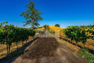 Agriculture,  Sonoma Mountain road, Santa Rosa, CA 95404 - 7