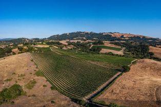 Agriculture,  Sonoma Mountain road, Santa Rosa, CA 95404 - 32