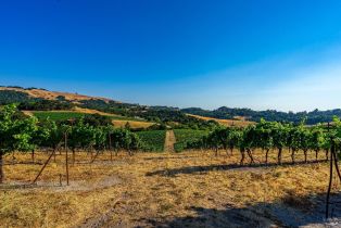 Agriculture,  Sonoma Mountain road, Santa Rosa, CA 95404 - 26