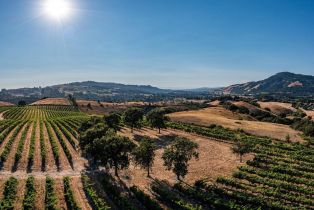 Agriculture,  Sonoma Mountain road, Santa Rosa, CA 95404 - 29