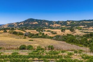 Agriculture,  Sonoma Mountain road, Santa Rosa, CA 95404 - 22