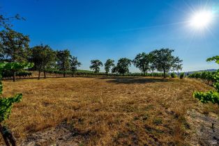 Agriculture,  Sonoma Mountain road, Santa Rosa, CA 95404 - 20