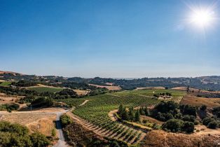 Agriculture,  Sonoma Mountain road, Santa Rosa, CA 95404 - 28