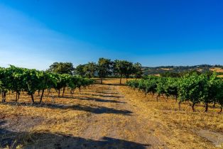 Agriculture,  Sonoma Mountain road, Santa Rosa, CA 95404 - 14