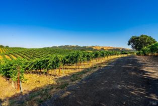 Agriculture,  Sonoma Mountain road, Santa Rosa, CA 95404 - 9