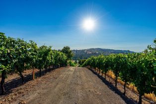 Agriculture,  Sonoma Mountain road, Santa Rosa, CA 95404 - 12