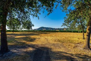 Agriculture,  Sonoma Mountain road, Santa Rosa, CA 95404 - 16