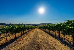 Agriculture,  Sonoma Mountain road, Santa Rosa, CA 95404 - 25