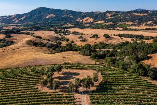 Agriculture,  Sonoma Mountain road, Santa Rosa, CA 95404 - 18