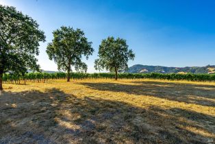 Agriculture,  Sonoma Mountain road, Santa Rosa, CA 95404 - 19