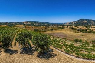 Agriculture,  Sonoma Mountain road, Santa Rosa, CA 95404 - 34