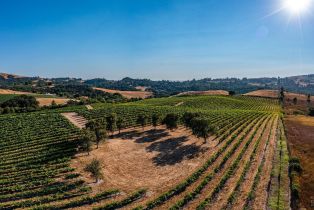 Agriculture,  Sonoma Mountain road, Santa Rosa, CA 95404 - 2