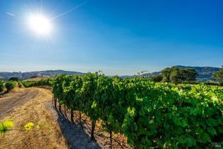 Agriculture,  Sonoma Mountain road, Santa Rosa, CA 95404 - 24