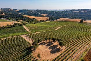 Agriculture,  Sonoma Mountain road, Santa Rosa, CA 95404 - 30