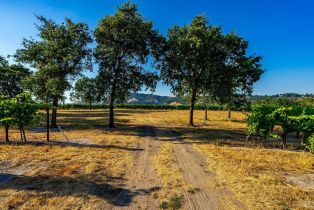 Agriculture,  Sonoma Mountain road, Santa Rosa, CA 95404 - 15