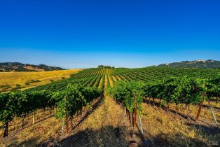 Agriculture,  Sonoma Mountain road, Santa Rosa, CA 95404 - 11