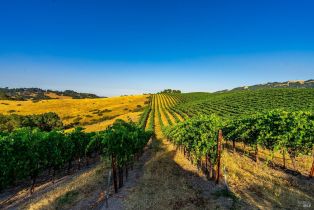 Agriculture,  Sonoma Mountain road, Santa Rosa, CA 95404 - 13