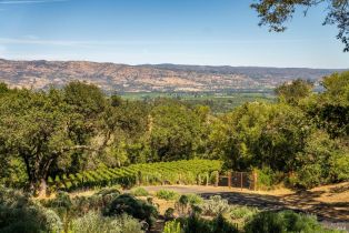 Single Family Residence,  Dry Creek road, Napa, CA 94558 - 2