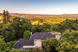 Single Family Residence,  Dry Creek road, Napa, CA 94558 - 50