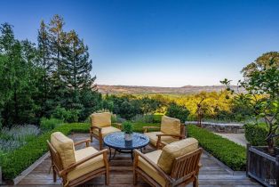 Single Family Residence,  Dry Creek road, Napa, CA 94558 - 43