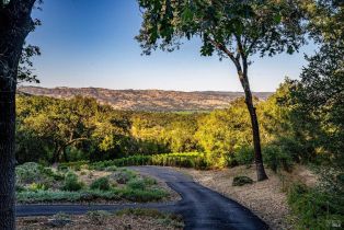 Single Family Residence,  Dry Creek road, Napa, CA 94558 - 46