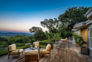 Single Family Residence,  Dry Creek road, Napa, CA 94558 - 42