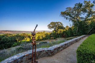 Single Family Residence,  Dry Creek road, Napa, CA 94558 - 45