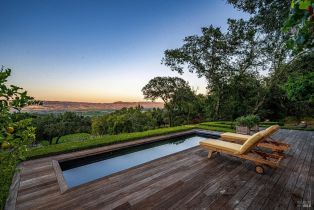 Single Family Residence,  Dry Creek road, Napa, CA 94558 - 3