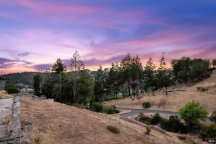 Residential Lot,  Orbetello court, Santa Rosa, CA 95404 - 10