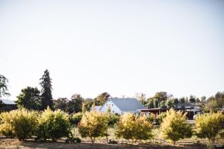 Single Family Residence,  Live Oak Farm lane, Petaluma, CA 94952 - 24