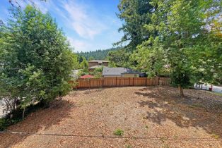 Residential Lot,  Orchard avenue, Russian River, CA 95446 - 3