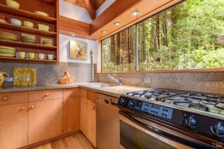 Single Family Residence,  Moonraker road, Sea Ranch, CA 95497 - 7