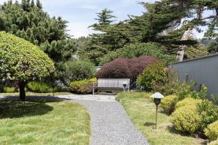 Single Family Residence,  Hedgerow Close none, Sea Ranch, CA 95497 - 38