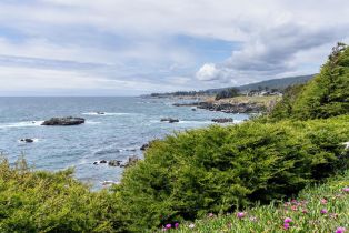 Single Family Residence,  Hedgerow Close none, Sea Ranch, CA 95497 - 39