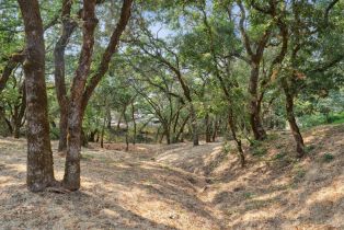 Single Family Residence,  Holland drive, Santa Rosa, CA 95404 - 53