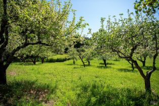 Single Family Residence,  Sparkes road, Sebastopol, CA 95472 - 57